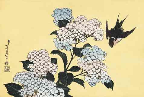 紫陽花の画像を貼るトピ