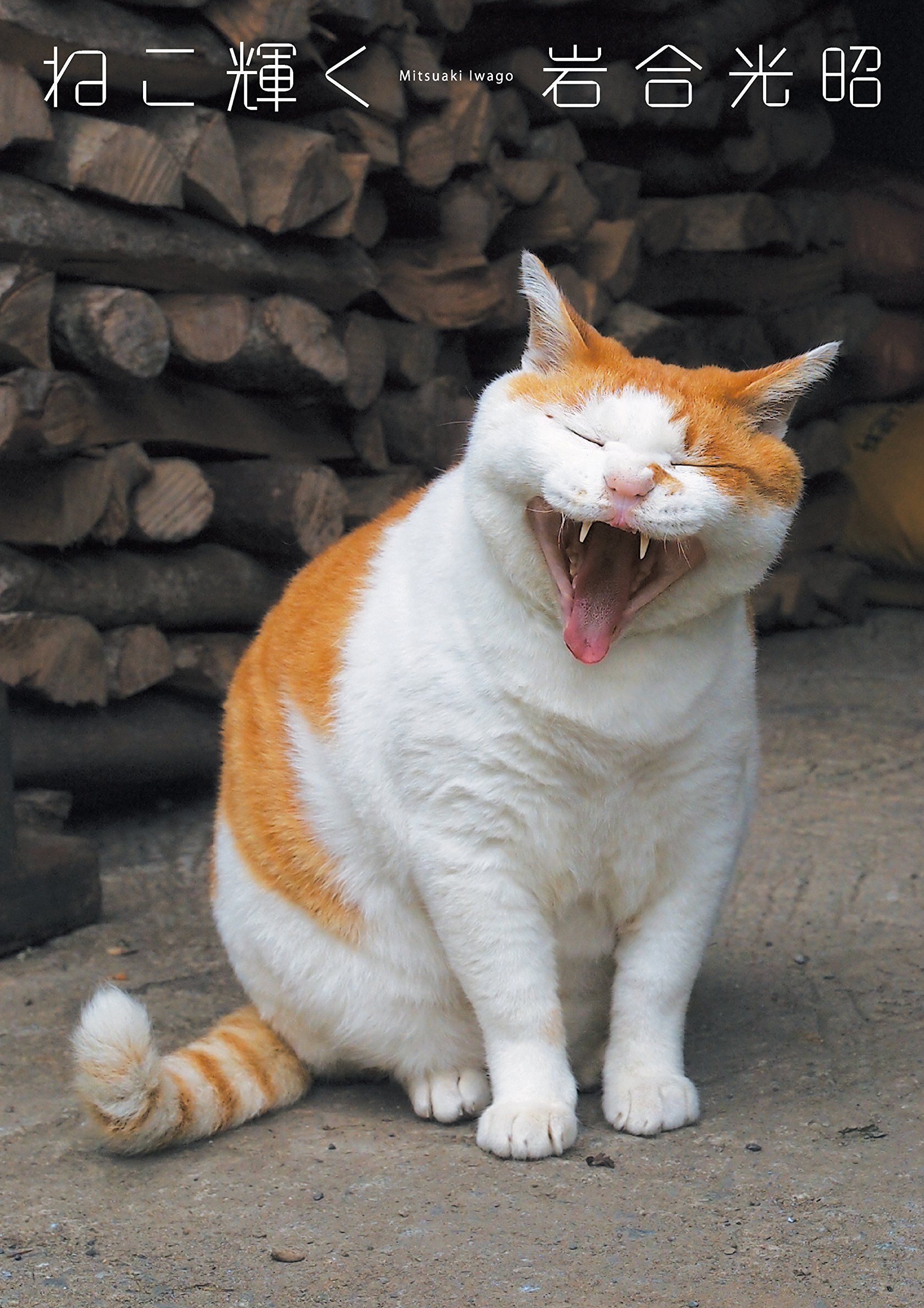 あくびしている動物の写真