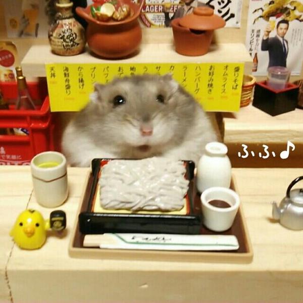 まったり居酒屋開店～11店舗目