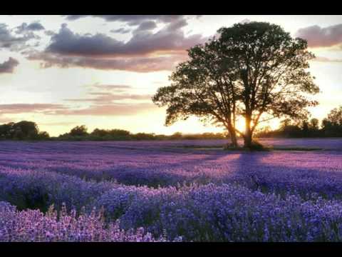 Ladies in Lavender - main theme ( Joshua Bell ) - YouTube