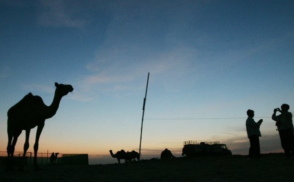 ラクダに接する中東人にある抗体が韓国人にない...軽い接触でも感染 （ハンギョレ新聞） - Yahoo!ニュース
