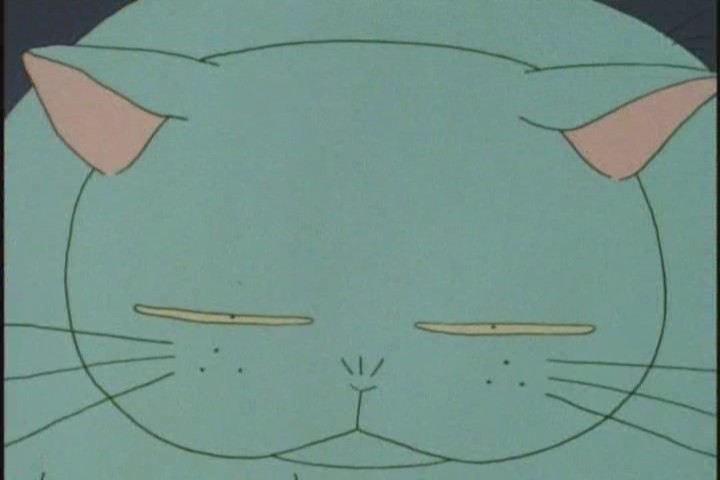 「セーラームーン」誰が好きでしたか?