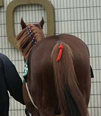 本当にどうでもいい豆知識を言い合うトピ