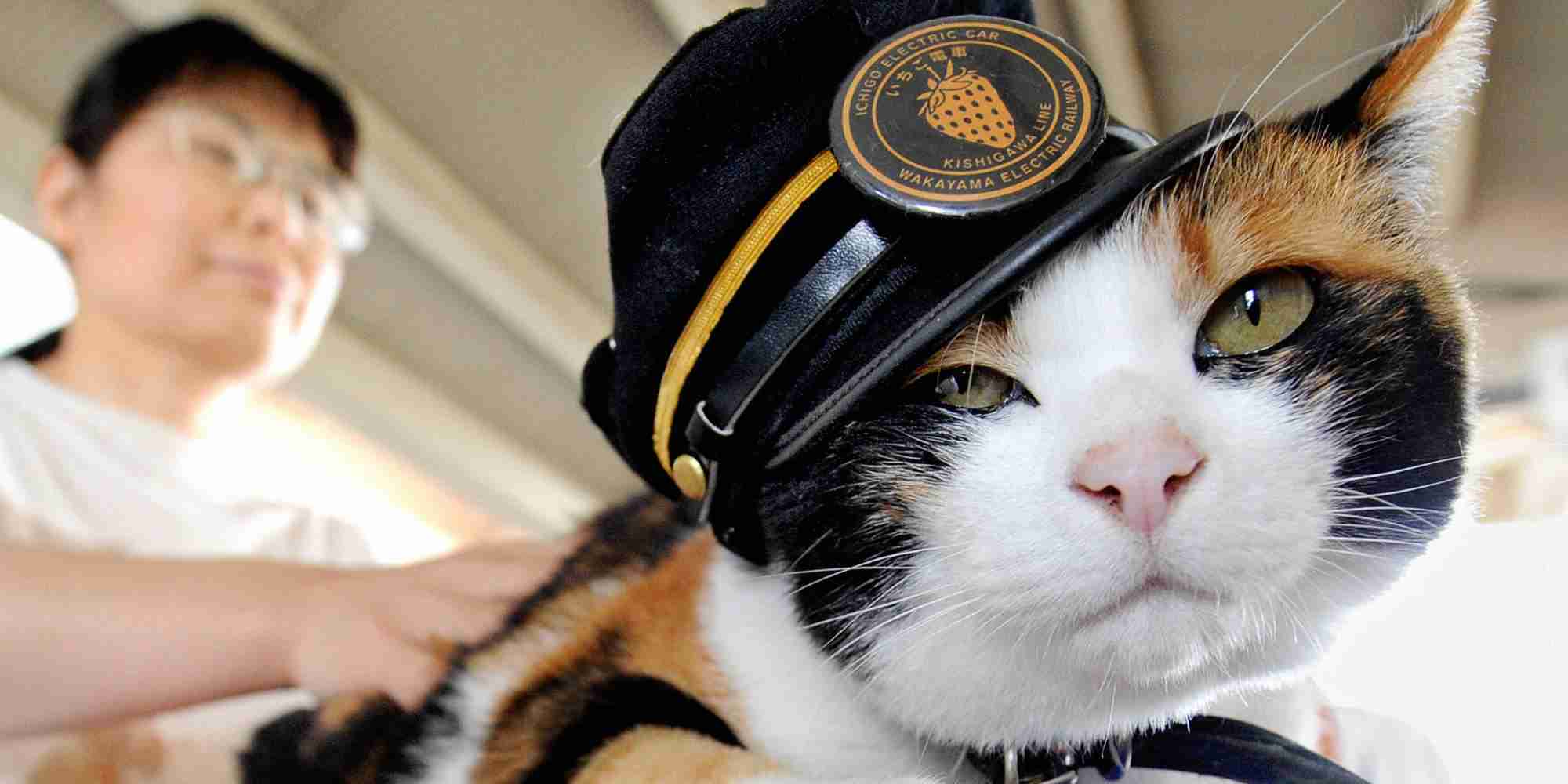 亡くなった三毛猫・たま駅長「天国行きの電車に乗車いたしましたにゃんご！」