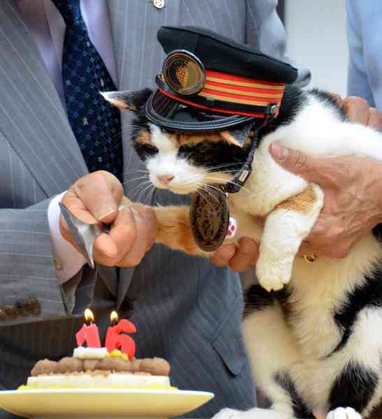 和歌山電鉄の名物三毛猫「たま駅長」が心不全で死去…16歳