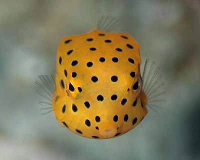 広瀬すず、ツイッターで幼少期の写真公開も騒動の影響引きずる形に