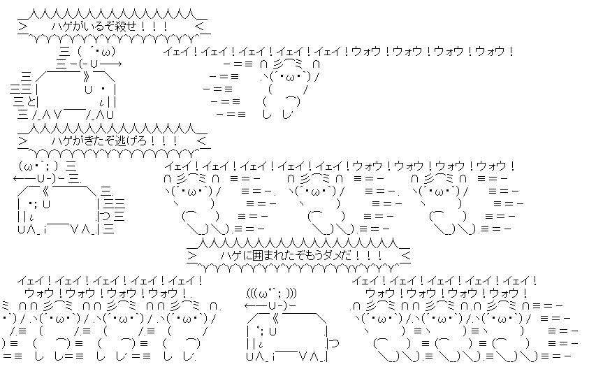 あなたはハゲを愛せますか？