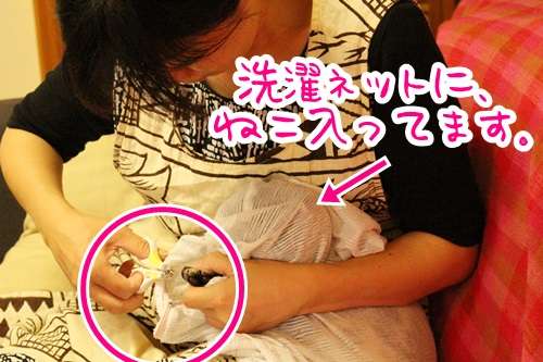 大人気で全カラー＆全サイズ売り切れ！ネコ専用「もふもふマスク」の破壊力がスゴいと話題に