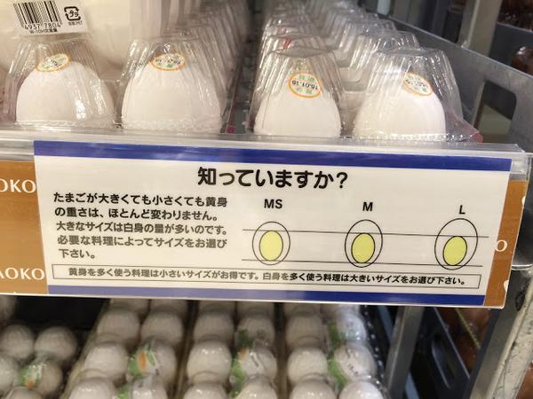 『卵の大きさに関わらず黄身の大きさは同じではない』という実験結果が出る