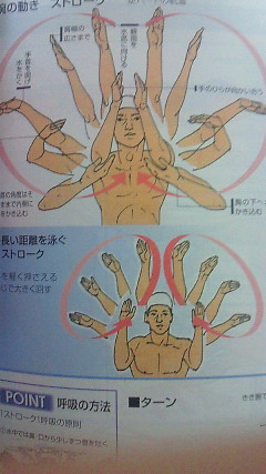 「腕が3本あるように見える」国語の教科書イラストにミス、１万冊を回収・交換へ