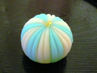 夏のお菓子の画像