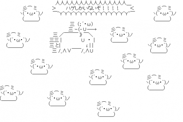 あなたはハゲを愛せますか？