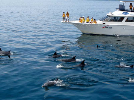 九州旅行のおすすめ