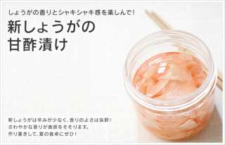 おすすめのスッパイ食べ物