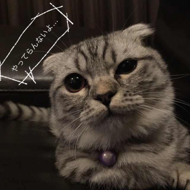 やってらんないこと