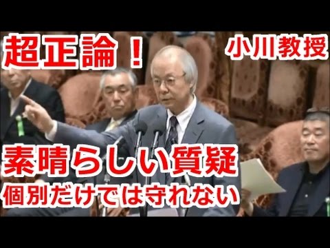 国会 正論！素晴らしい質疑 小川教授が集団的自衛権の必要性 最新の面白い国会中継 - YouTube