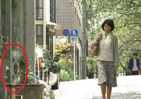 【フジ】27時間テレビのキャッチフレーズ「Do Honky」、白人への人種差別用語と判明し炎上