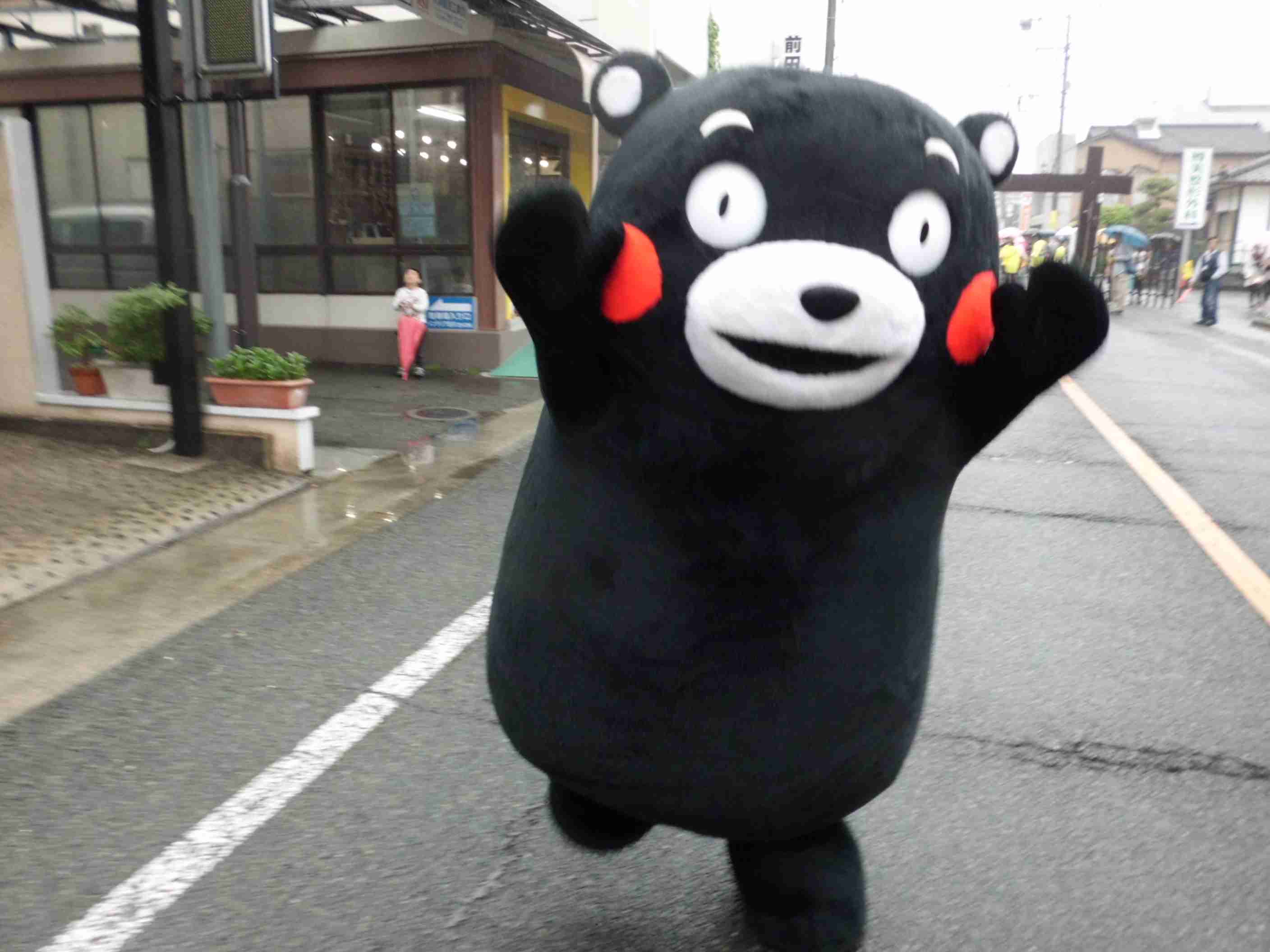 “今季最高のクマ写真”が人気、米コロラド大学に出現「フォーリン・ベアー2.0」