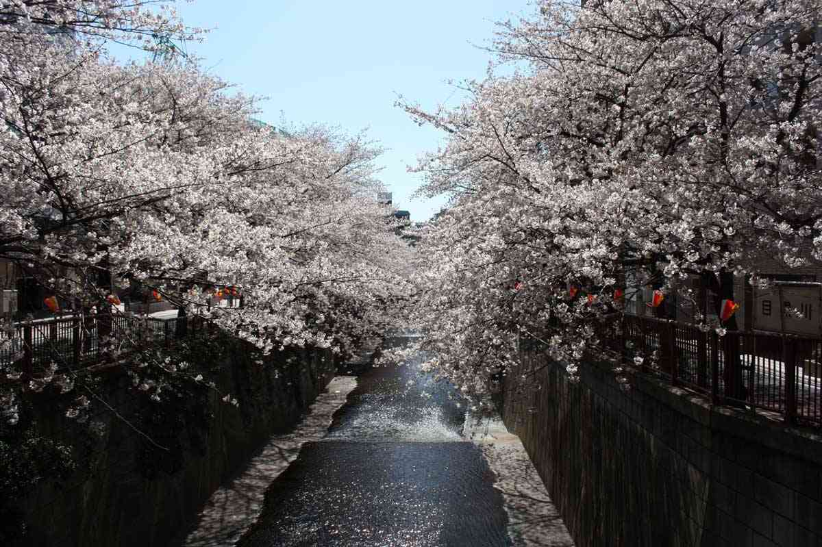 東京で住んでよかった場所