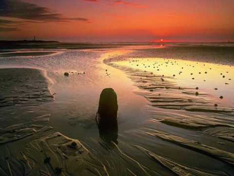 Schubert "Serenade" - YouTube