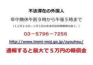 皇太子ご夫妻 トンガ国王の戴冠式に
