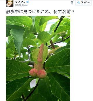 じわじわくる【画像】下さい