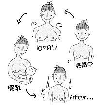 卒乳後の胸のサイズ