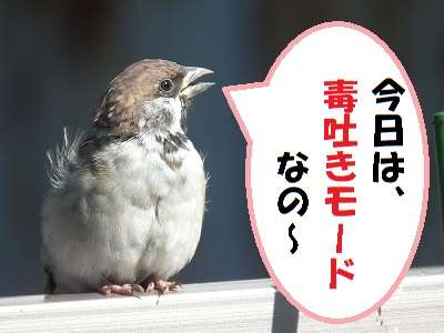 とにかく毒を吐いてみるトピ
