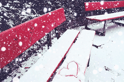 雪景色の写真を見て涼むトピ