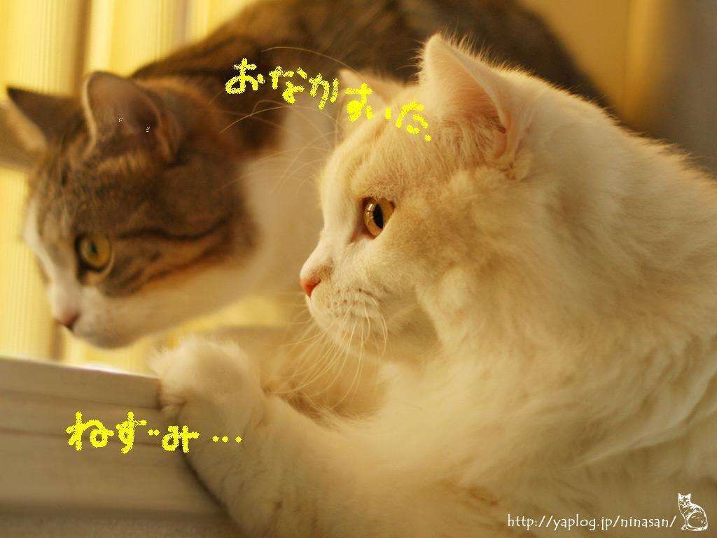 噂あるある