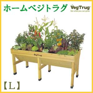 プランター菜園している方いますか？