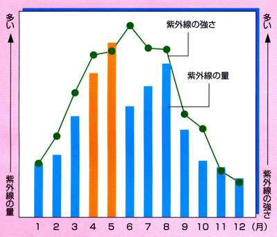 皮膚がんのリスクが高まる? オレンジジュースに潜む思わぬ危険