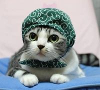 落とした財布、戻ってきましたか？