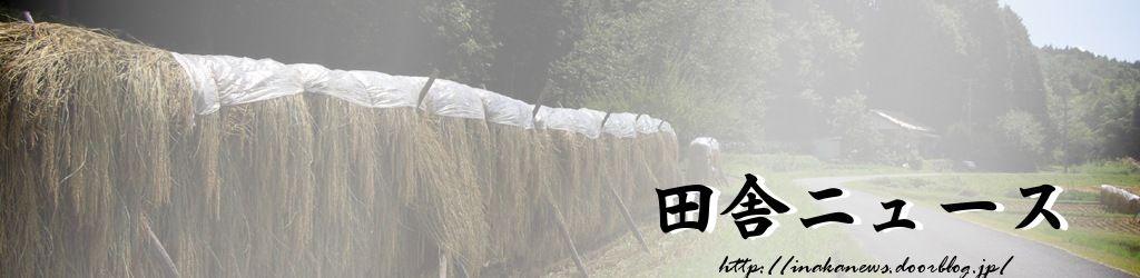 田舎ニュース : 【栃木】『ＬＩＮＥ』でママ友いじめか！？小学校のママ友２人が相次いで自殺！