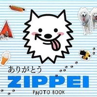 熱中症で死亡したZIPPEIの写真集の表紙に「ホットドッグ」がありネット大炎上 - NAVER まとめ