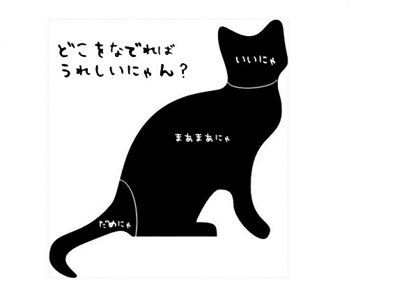 どこを撫でればうれしいニャン？科学がついに解き明かした正しい猫のモフり方（英研究）