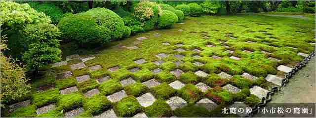京都おすすめスポット