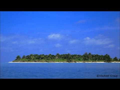 【1/fのゆらぎ】波の音と小鳥のさえずり8時間版 作業用BGM - YouTube