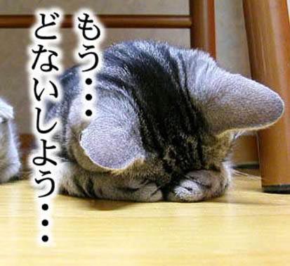ネガティヴな人集まれ!
