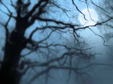 Beethoven - Silence - YouTube