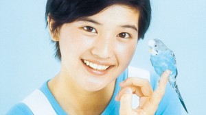 昔のアイドルを貼ろう