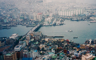  MERS、外交で失態相次ぐ、強まる「無能の大統領」論（後）｜データ・マックス　NETIB-NEWS