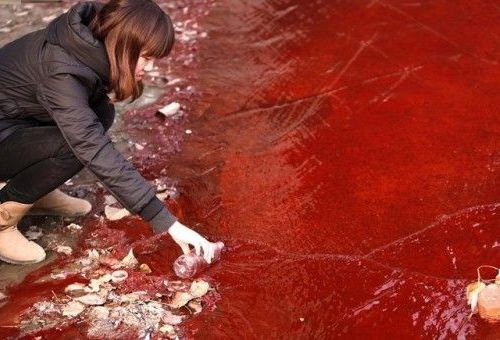 外国人「もはや中国は手の負えない状況になっている…」環境汚染の写真にショックを受ける:らばQ