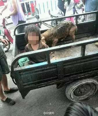 中国でドッグフードを食べ犬小屋で生活する少年少女が発見される