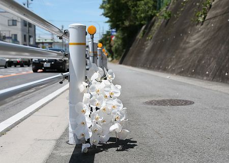殺害方法、ネットで検索＝追った理由「祖父似だった」―高3少年・愛知県警