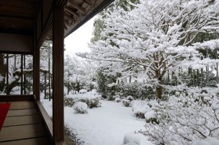 雪景色の写真を見て涼むトピ