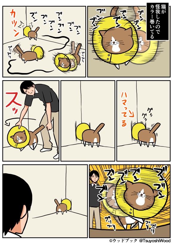 「アホだなぁ」と思うペットの行動