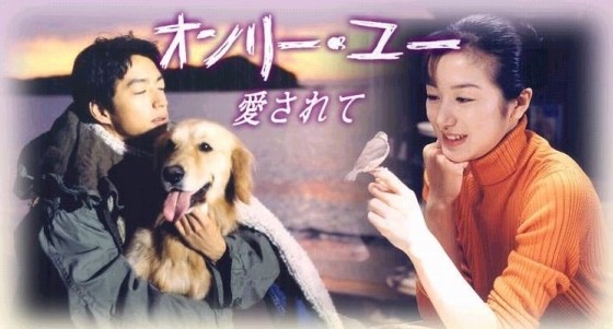 １度だけでもいいから再放送して欲しい番組