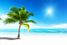 あなたがこの夏行きたい国はどこ？