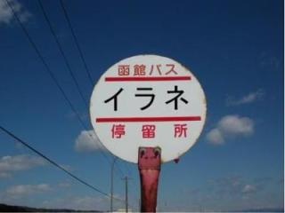 元AKB48河西智美、初のバスツアーイベントの開催を発表も“一泊二日で65,000円”は高すぎる!?